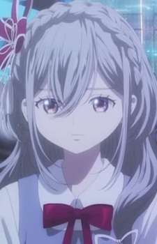 Nerine
