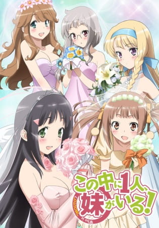 Kono Naka ni Hitori, Imouto ga Iru! poster