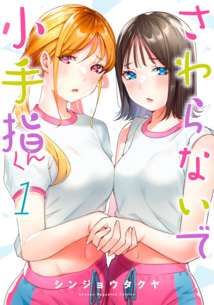 Don't Touch Kotesashi cover