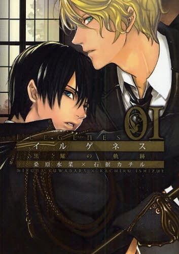 Ilegenes: Kokuyou no Kiseki cover