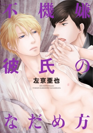 Fukigen Kareshi no Nadamekata cover