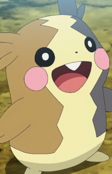 Morpeko
