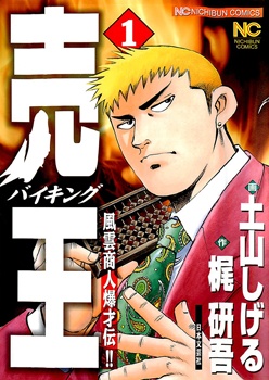 Viking cover