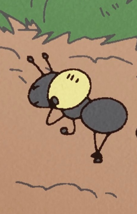 Ant
