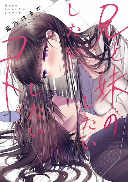 Ani to Imouto no Shitai Shitai Shitai Koto cover