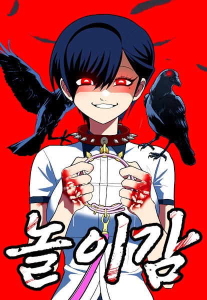 Plaything cover
