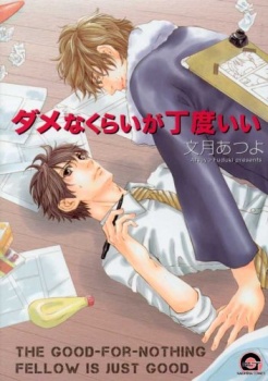 Dame na Kurai ga Choudoii cover