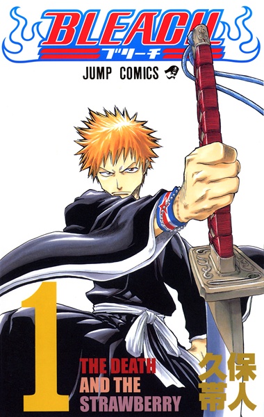 Bleach cover