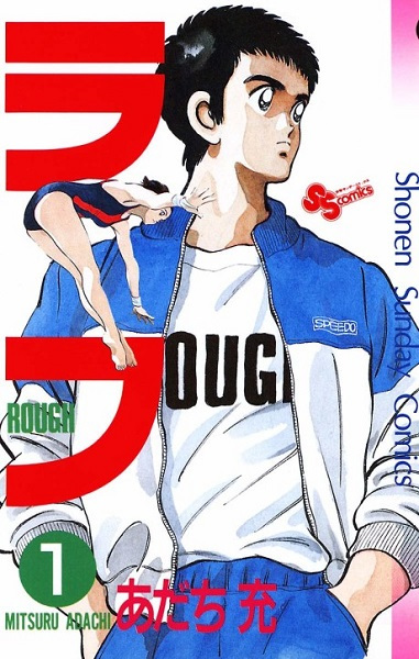 Rough cover