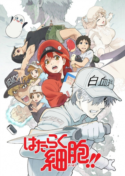 Hataraku Saibou!! poster
