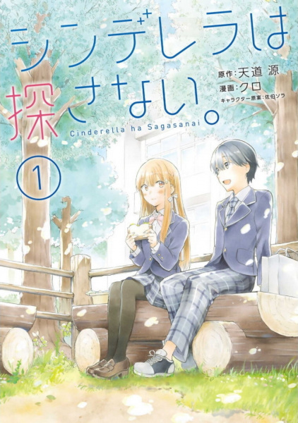 Cinderella wa Sagasanai. cover