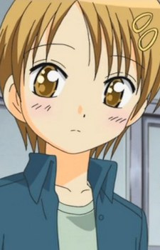 Yamabuki, Yae