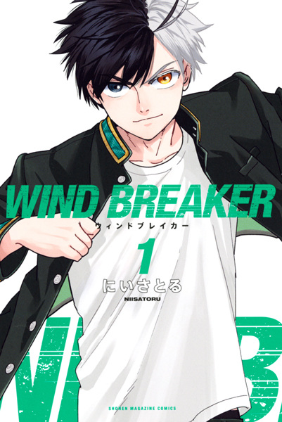 Wind Breaker cover
