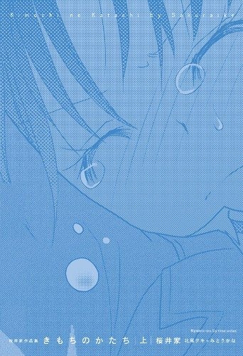 Kimochi no Katachi cover