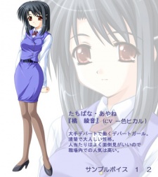 Tachibana, Ayane