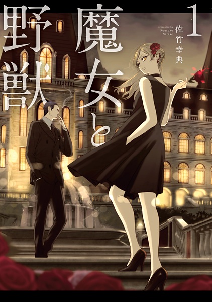 The Witch and the Beast cover