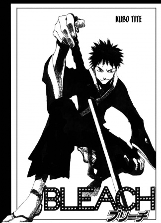 Bleach cover