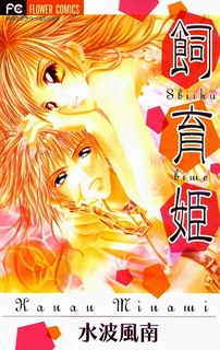 Mistress Princess cover