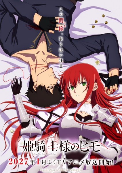The Kept Man of the Princess Knight poster