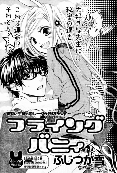 Flying Bunny cover