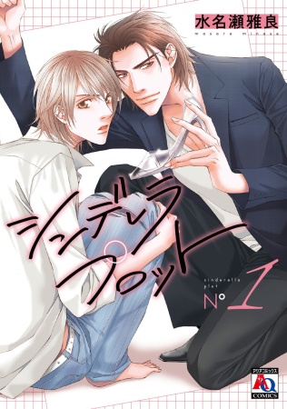 Cinderella Plot cover