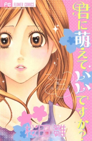Kimi ni Moete Ii desu ka? cover