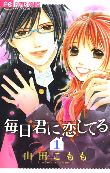 Mainichi Kimi ni Koishiteru cover