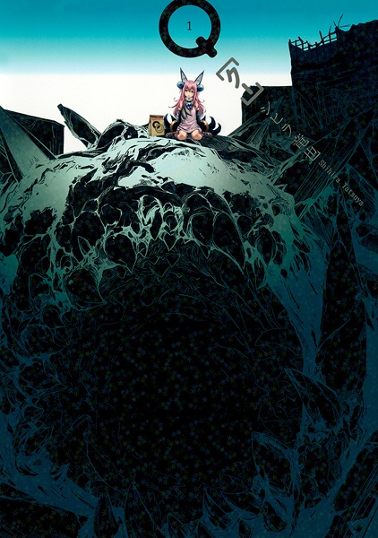 Q cover