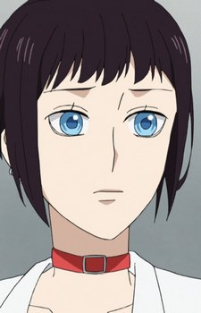 Himezuka, Theo