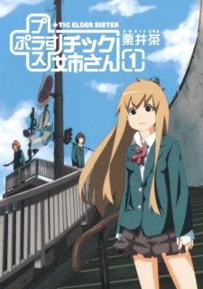 Plastic Neesan cover