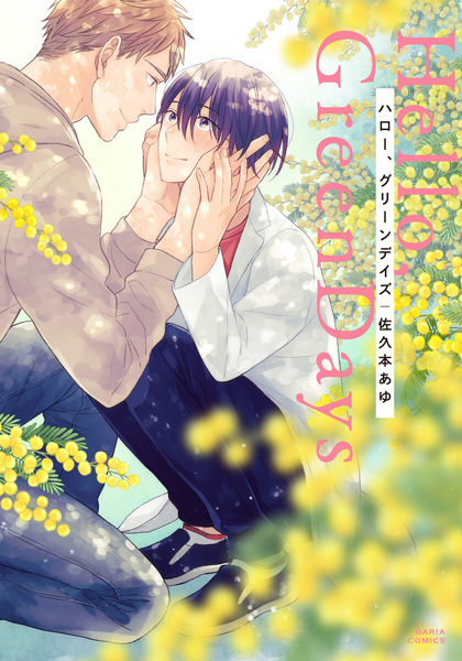 Hello, Green Days cover