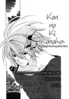 Kon no Ki Konoha cover