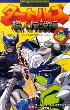 Mutant Turtles: Choujin Densetsu-hen poster