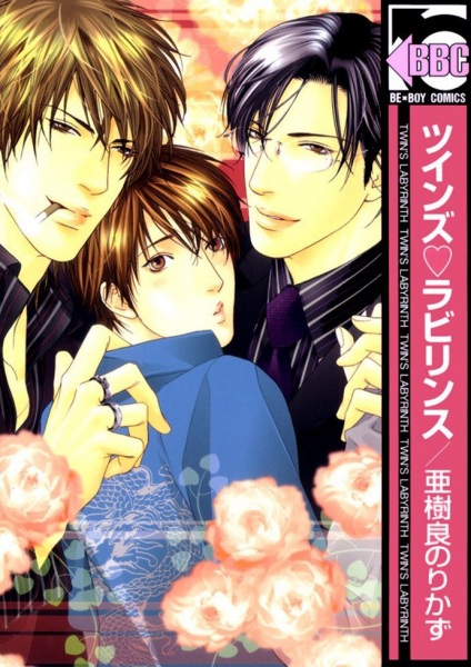 Twin's♡Labyrinth cover