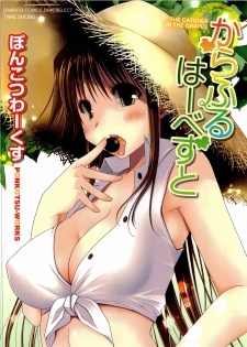 Colorful Harvest cover