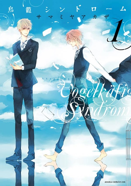 Torikago Syndrome cover