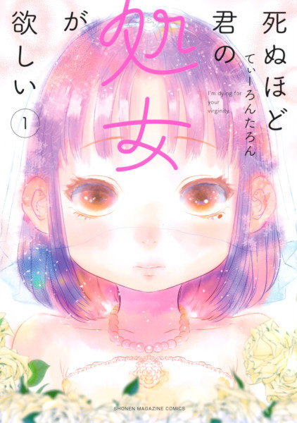 Shinu hodo Kimi no Shojo ga Hoshii cover