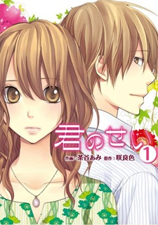 Kimi no Sei cover