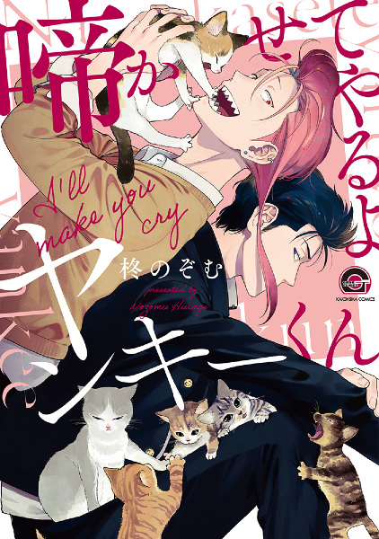 Nakaseteyaru yo Yankee-kun cover