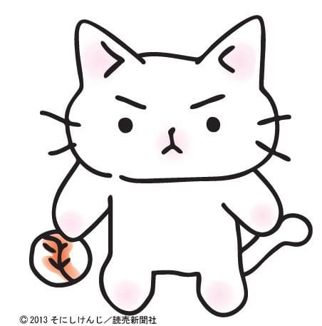 Neko Pitcher poster