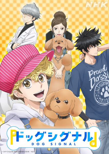 Dog Signal poster