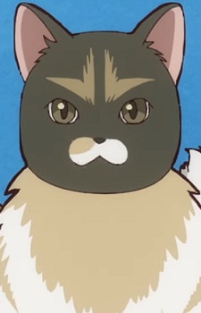 Monaruka
