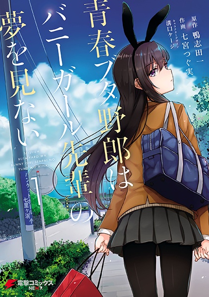 Seishun Buta Yarou wa Bunny Girl Senpai no Yume wo Minai cover