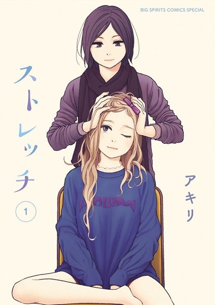 Stretch cover