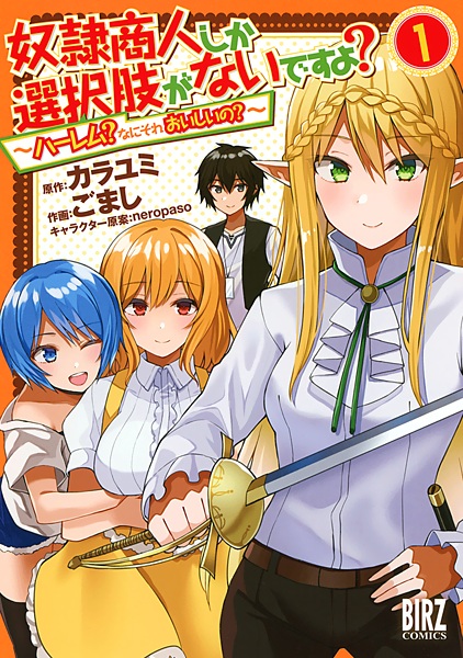 Dorei Shounin shika Sentakushi ga Nai desu yo?: Harem? Nani Sore Oishii no? cover