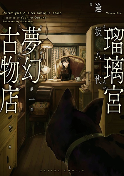 Rurimiya's curios antique shop cover