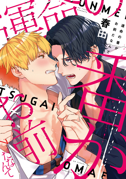 Worst Soulmate Ever cover