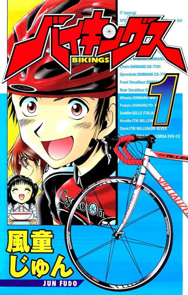 Bikings cover