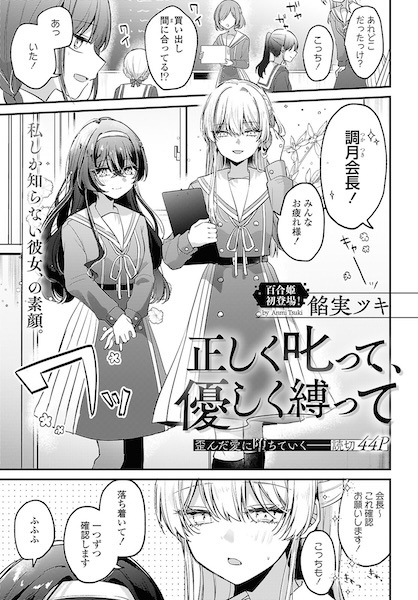 Tadashiku Shikatte, Yasashiku Shibatte cover